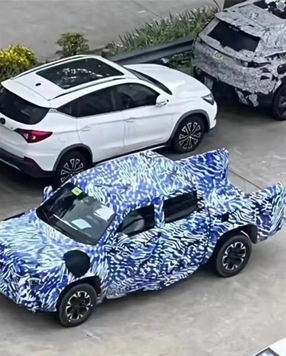 BYD_ute_camouflage_test.jpg